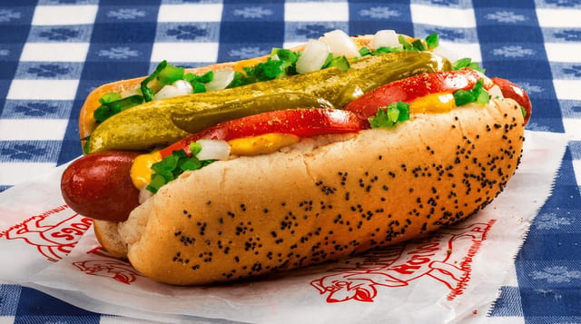Chicago Style Hot Dog.